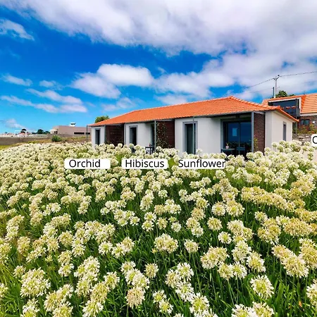 Appartement Ourmadeira - Quinta Inacia, Countryside Escape Calheta (Madeira)
