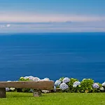 Apartament Ourmadeira - Quinta Inacia Calheta (Madeira)
